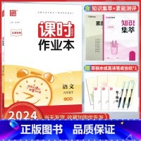 语文[人教版] 九年级下 [正版]2024版课时作业本数学九年级下册SK苏科版江苏中学 生初三找规律同步练习复习点要基础