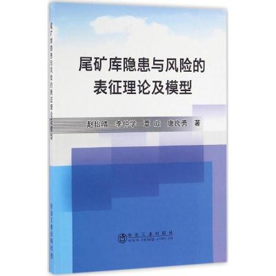 尾矿库隐患与风险的表征理论及模型