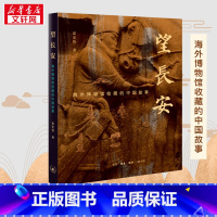 望长安:海外博物馆收藏的中国故事 [正版]望长安 海外博物馆收藏的中国故事 霍宏伟 著 文物/考古社科 书店图书籍 生活