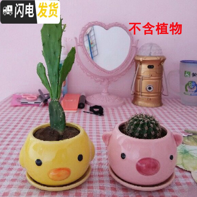 三维工匠创意多肉陶瓷花盆批發 中号家用植物瓷盆 卡通萌萌可爱阳台个性小 小粉猪+小黄鸭=10.9 中等花盆容器