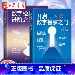 [正版]全2册数字检察进阶之路+开启数字检察之门 数字检察应用基本原理指南方法与实践 陈岑 张琛 申艳霞 黄星任 中国