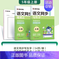 [升级2本装]5年级上册 [正版]小学生一二三年级上册练字四五六年级下册每日一练人教版语文同步练字帖生字描红练习册儿童控