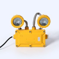 防爆应急灯 XD-360 个