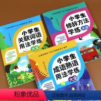 [正版]小学生修辞+关联词+成语熟语大全全彩手绘小学通用版 小学语文专项修饰关联词成语熟语提升训练 小学生语文专项提升