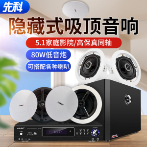 先科(SAST)吸顶式5.1家庭影院音响套装电视机家用客厅吊顶音箱3d环绕立体声嵌入式重低音功放套装蓝牙KTV