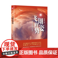 飞翔的姿势 (锐势力.名家小说集)