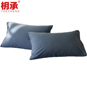 枂承
