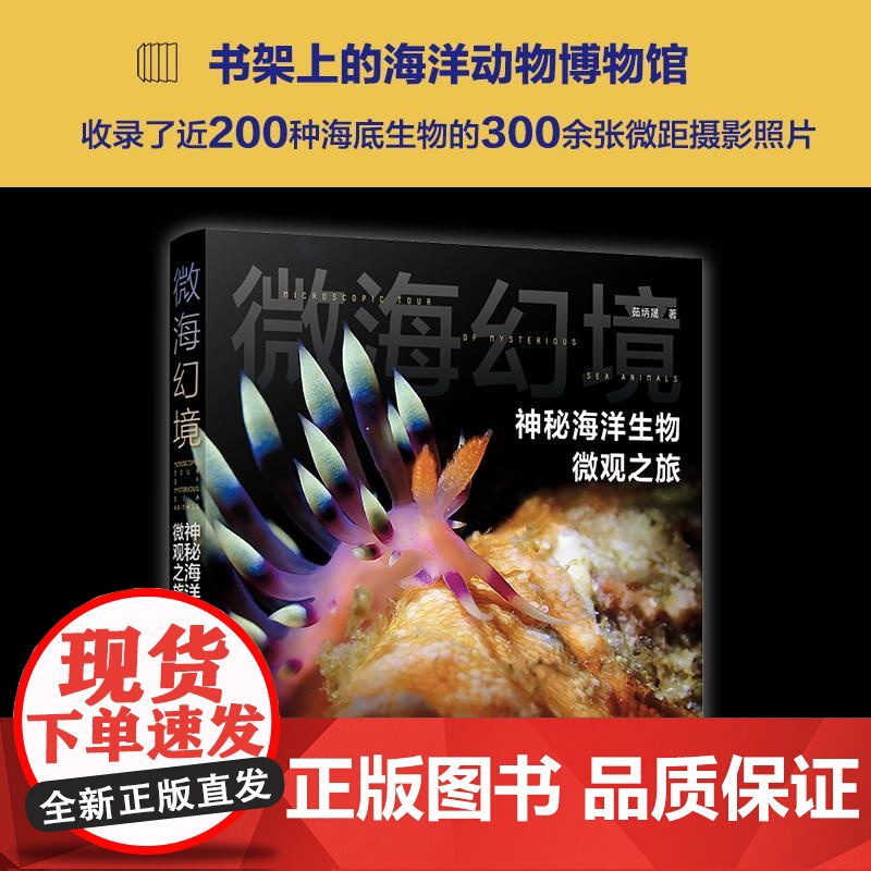 微海幻境 神秘海洋生物微观之旅 潜水摄影书籍教程