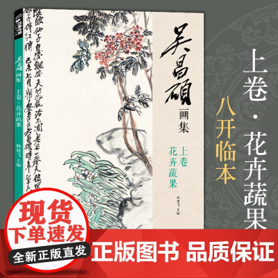 吴昌硕画集·上卷·花卉蔬果 中国画临摹范本书籍写意牡丹花鸟鱼虫