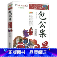 包公案 [正版]包公案断案书籍白话文版拓展阅读本全集青少年包青天包公官场民间案件探案推理悬疑破案故事儿童经典奇闻精编小学