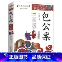 包公案 [正版]包公案断案书籍白话文版拓展阅读本全集青少年包青天包公官场民间案件探案推理悬疑破案故事儿童经典奇闻精编小学