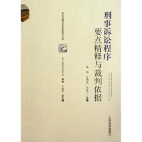 音像刑事诉讼程序要点精释与裁判依据吕淑琴