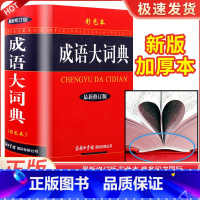 成语大词典[彩色版] 小学通用 [正版]字典2024第12版双色本单色本全新小学生新编实用工具书字词典国民语文第十二版单