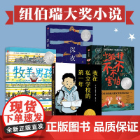 纽伯瑞大奖小说 全4册 我在私立学校的第一年+小狐狸不不不害怕+牧羊男孩+深夜日记 克里斯蒂安海迪克等著中信