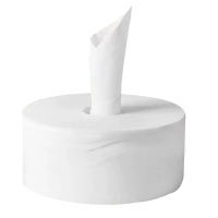 岱润 大盘纸 中心抽取式12盘 箱