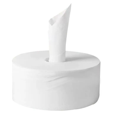 岱润 大盘纸 中心抽取式12盘 箱