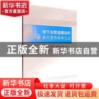 正版 地下水数值模拟的多尺度有限单元法 谢一凡[等]著 河海大学