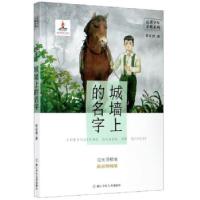正版新书]城墙上的名字管家琪 著9787559716729