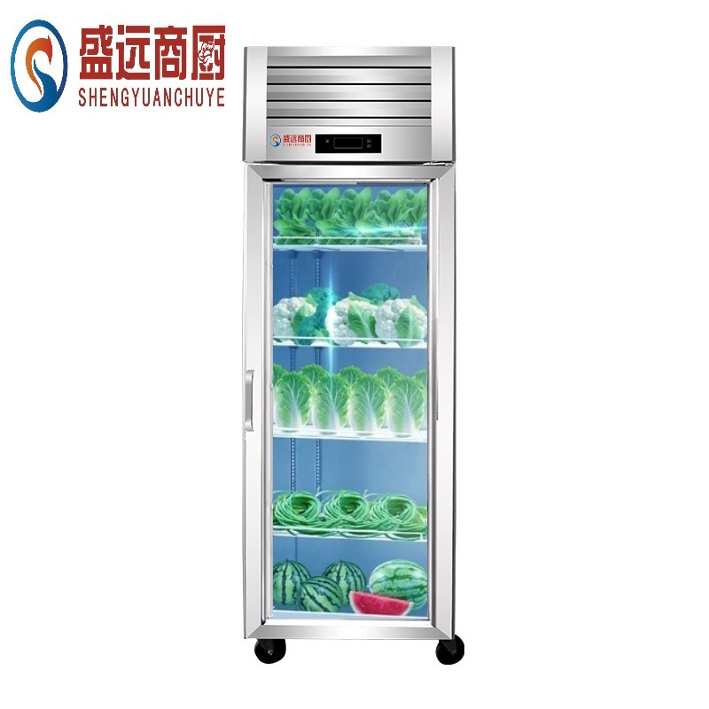 盛远商用保鲜柜 冷藏柜展示柜 留样柜陈列柜 单门