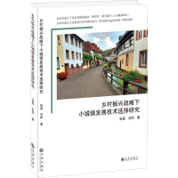 醉染图书乡村振兴战略下小城镇发展技术选择研究9787522504018