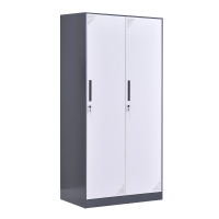 臻远ZY-GYGC-1拆装更衣柜窄边储物柜 灰白套色二门更衣柜