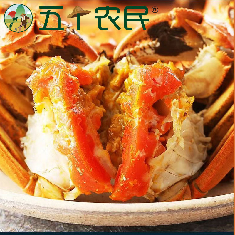 [鲜活大闸蟹]五个农民大闸蟹 3.5两公4只 2.5两母4只 4对装8只