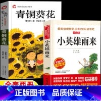 小英雄雨来+青铜葵花 [正版]小英雄雨来四年级下册管桦著青铜葵花曹文轩著含芦花鞋4四年级人教版人民教育出版社配套阅读课外
