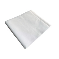 莘煊 一次性台布 80*100cm 张