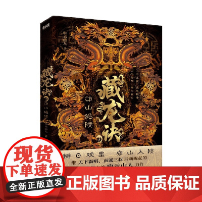 藏龙诀3 邙山诡陵 申示山人 著 小说