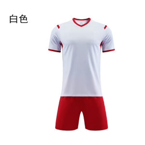 统狮 足球服 E85 套