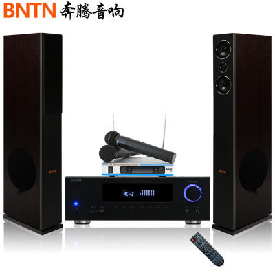 奔腾（BNTN）家庭影院ktv落地式套装电视卡拉OK组合音响2.0声道蓝牙888功放配时尚1号主音箱2只