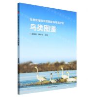 [N]甘肃敦煌阳关国家级自然保护区鸟类图鉴-9787572708565