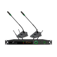 DEIYUS会议话筒真分集一拖二无线麦克风BH-2600