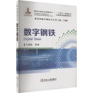 音像数字钢铁王国栋等著