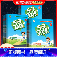 语文-人教版 二年级下 [正版]新版53天天练二年级上册下册语文人教版数学全套苏教版北师版五三同步练习簿下册英语译林53