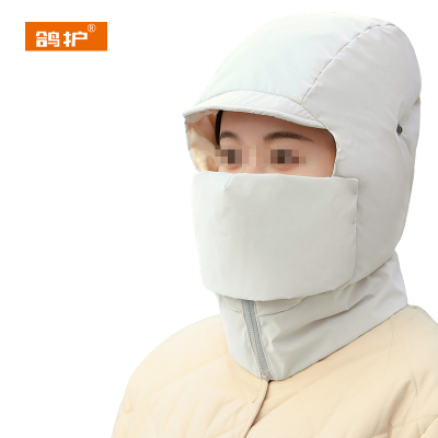 鸽护 防寒帽 GH5971-常规款 顶
