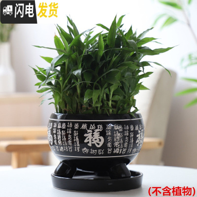 三维工匠红色万福花盆陶瓷室内大号带托盘吊兰创意简约绿萝多肉小花盆 三足万福盆-黑色 小花盆容器