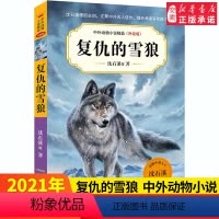 [正版]复仇的雪狼 中外动物小说精品升级版 沈石溪等著小学生3456年级语文课外阅读书籍11-14岁青少年儿童文学读物