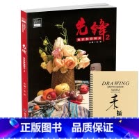 [正版]8成新2019先锋色彩静物照片2美书文化王乐色彩基础单体组合果蔬花卉水粉静物照片写生对画临摹范本高校联考题国美