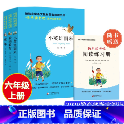 [正版]快乐读书吧3本小英雄雨来六年级上册统编语文名著阅读爱的教育高尔基童年管烨主编北京教育出版社小学6年级人教版语文
