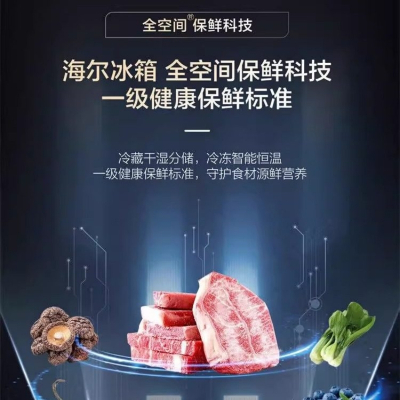 海尔(Haier) 冰箱家用511升四开门十字对开门一级双变频大容量电冰箱BCD-511WGHTD19X8U1