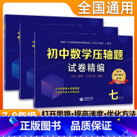 [套装3册]数学压轴题试卷精编 七八九年级 初中通用 [正版]初中数学压轴题精讲精练试卷精编七年级初一数学同步专项训练