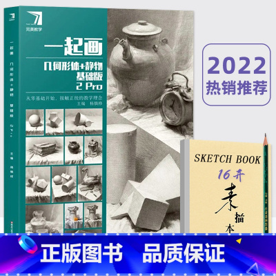 [正版]一起画几何形体+静物 基础版2pro 2022完美教学杨慎修素描静物几何临摹范本美术书