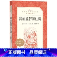 [正版] 书籍爱丽丝梦游仙境(《语文》阅读丛书)人民文出版社