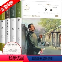鲁迅全集4册 [正版]故乡鲁迅的书 全套4册六年级课外阅读书籍原著 朝花夕拾呐喊 野草 全集经典读本6小学生小说必读课外