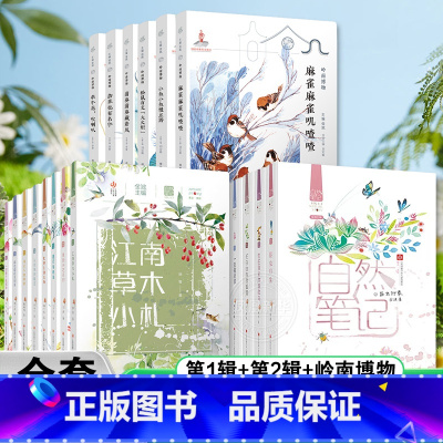 [第1+2+3辑岭南博物]自然笔记 全22册 [正版]自然笔记全套22册 金波著 岭南博物美绘版昆虫印象春夏秋冬都是画