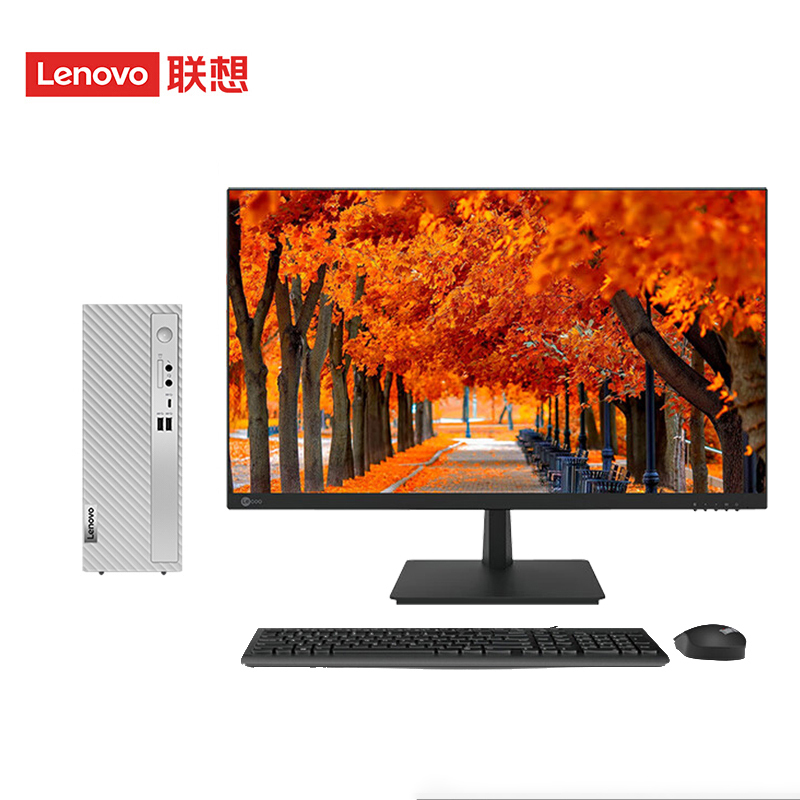 联想(Lenovo)天逸510S 个人商务台式机电脑整机 定制(i3-13100 16G 1T机械+512G SSD wifi6 win11 键鼠 三年上门)配21.45英寸显示器