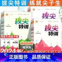 小学生必背古诗词75+80首 二年级下 [正版]2024新版小学拔尖特训一年级二年级三四五六年级语文数学英语下册人教版全
