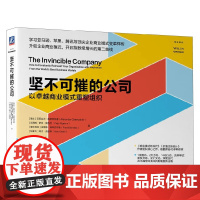 坚不可摧的公司 以卓越商业模式重塑组织 亚历山大·奥斯特瓦德等 著 管理