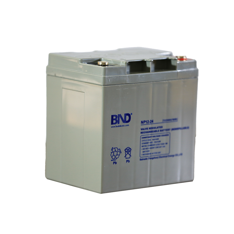 NP12-24蓄电池